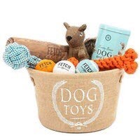 Harry Barker Happy Camper Dog Toy Gift Bundle