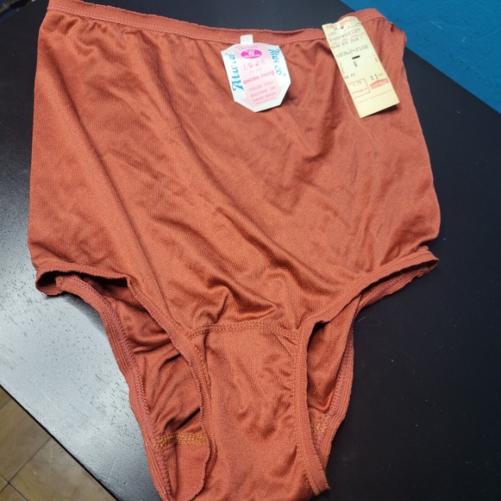 Atweco VTG NWT Medium 6 Nylon Hi Waist Bronze Briefs