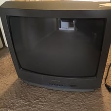 SANYO DS19310 19”