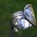 Authentic Buffalo Indian Nickel signet ring adjustable sterling silver feather