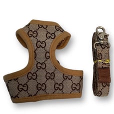Dog harness and leash