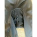 NIKE Cycling Bib Shorts XL Italy Bicycle Run Padded Mesh Bike Navy FC Barcelona
