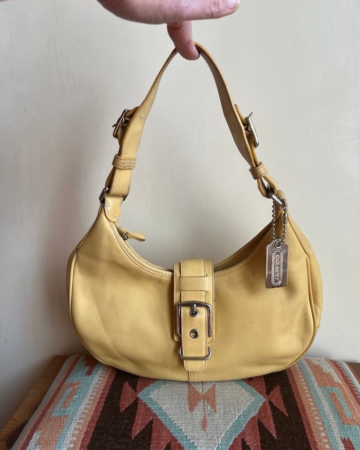 Coach Hampton purse