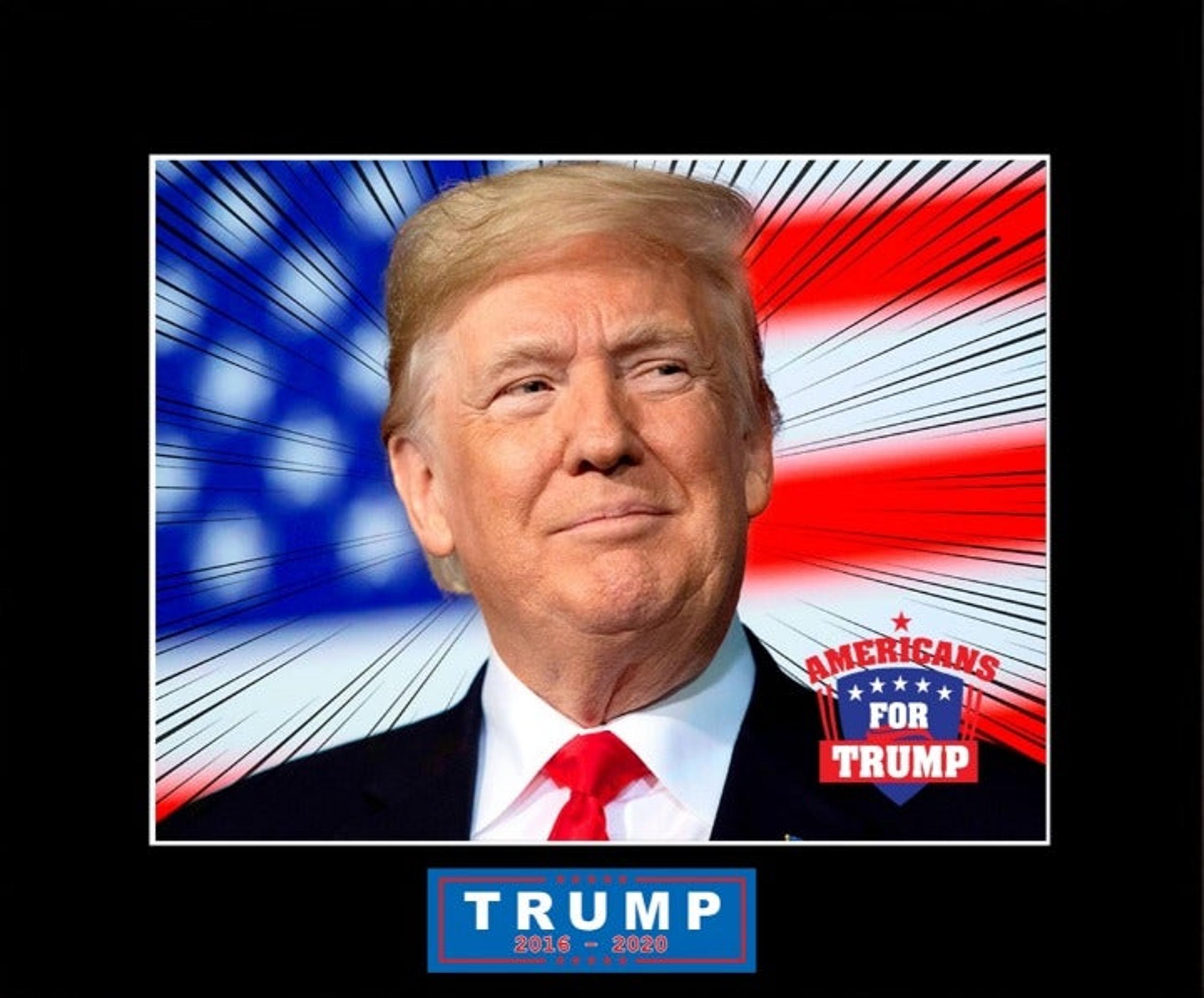 DONALD TRUMP 11" x 14" Photo Mat