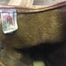 Red Wing 1155 Vintage Soft Toe Work Boots Mens 10 E
