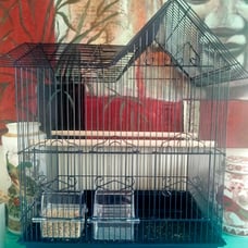 Bird cage