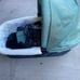 Uppababy Bassinet Model 0056 Green Silver Comes With All Accessories Shown New