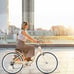 24 Ladies Bike | 7 Speed | Steel Frame | Many Colors
