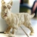 Antique Cast Iron Scottie Dog Doorstop/Home Decor