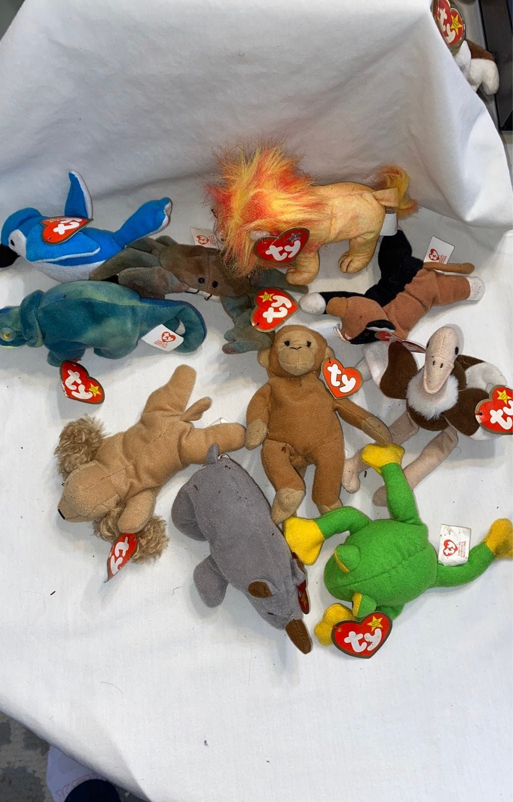 Ty Teanie Beanie Babies (Lot of 10)