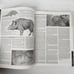 Fish Curry & Rice : A Sourcebook on Goa, its Ecology & Lifestyle Book Alvares