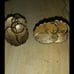 Vintage Earrings,, Clip & Screwback,,