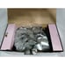 Conair Heat Hot Rollers Curlers and Clips V10258 Pink Cheer Pageant Extras