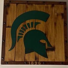 Michigan spartan