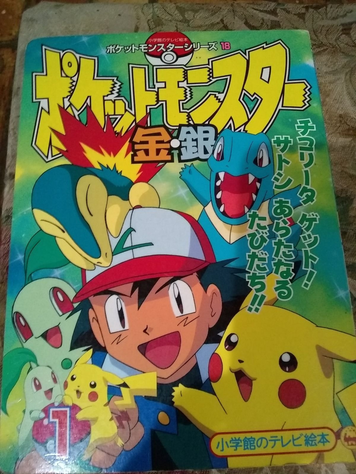 Rare Pokemon Gold and Silver Book TV, 20