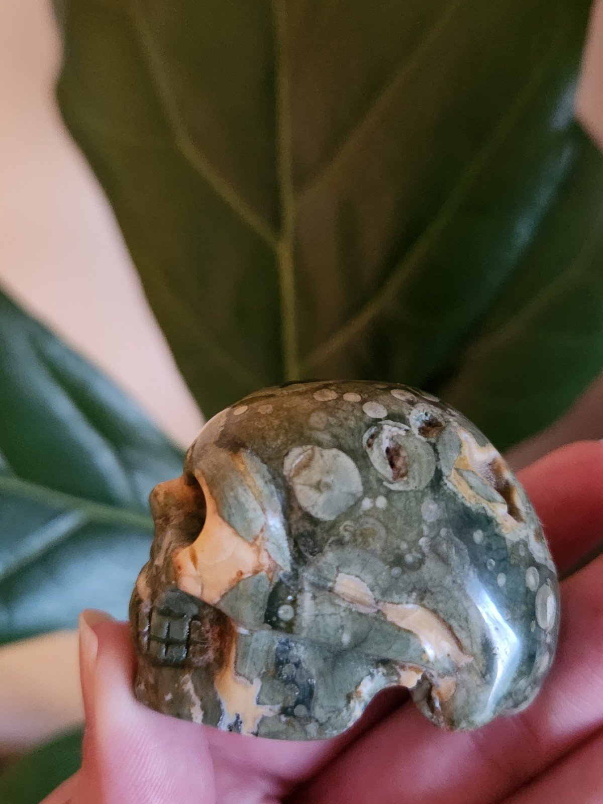 Rainforest Jasper Skull