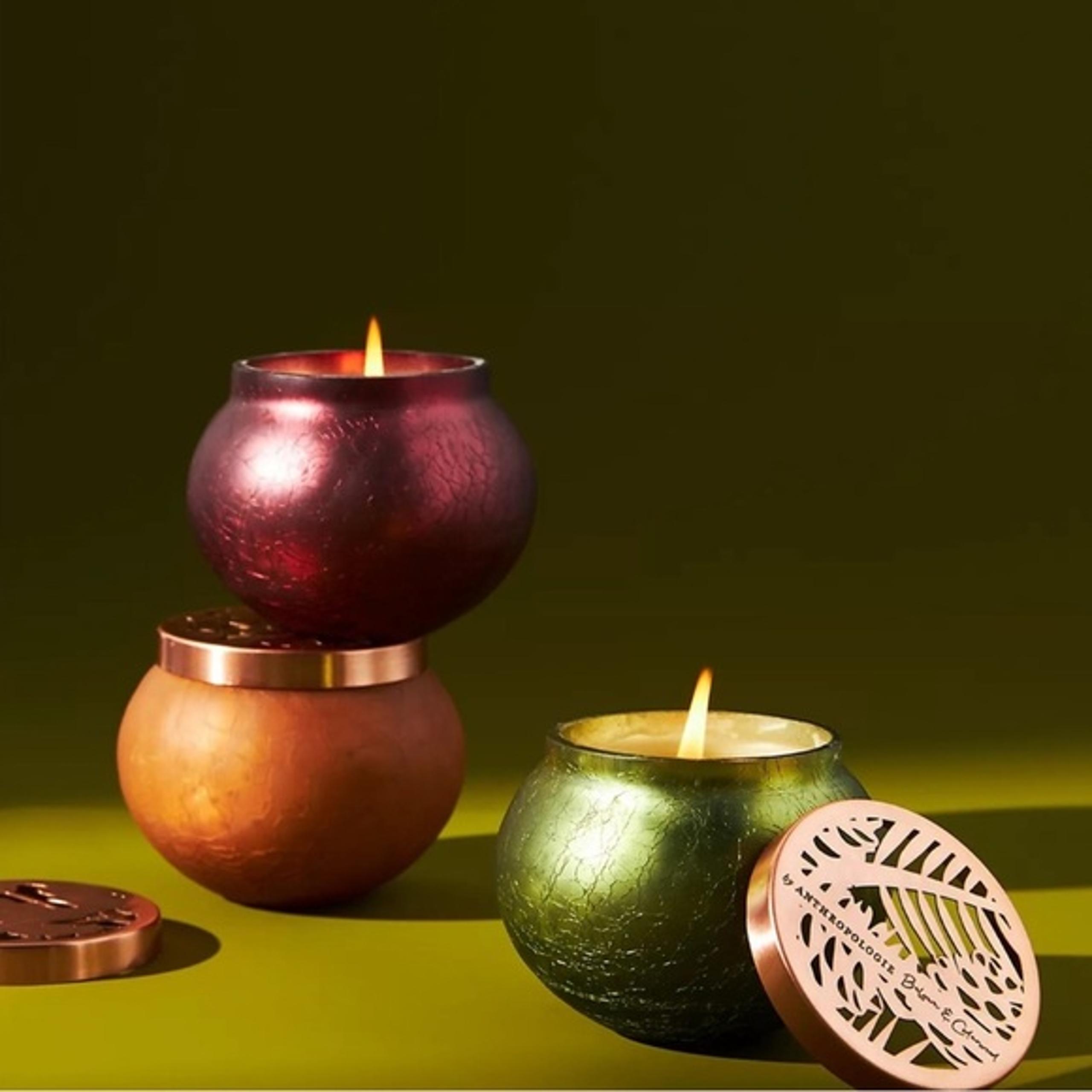 Anthropology Candle Fig Tree