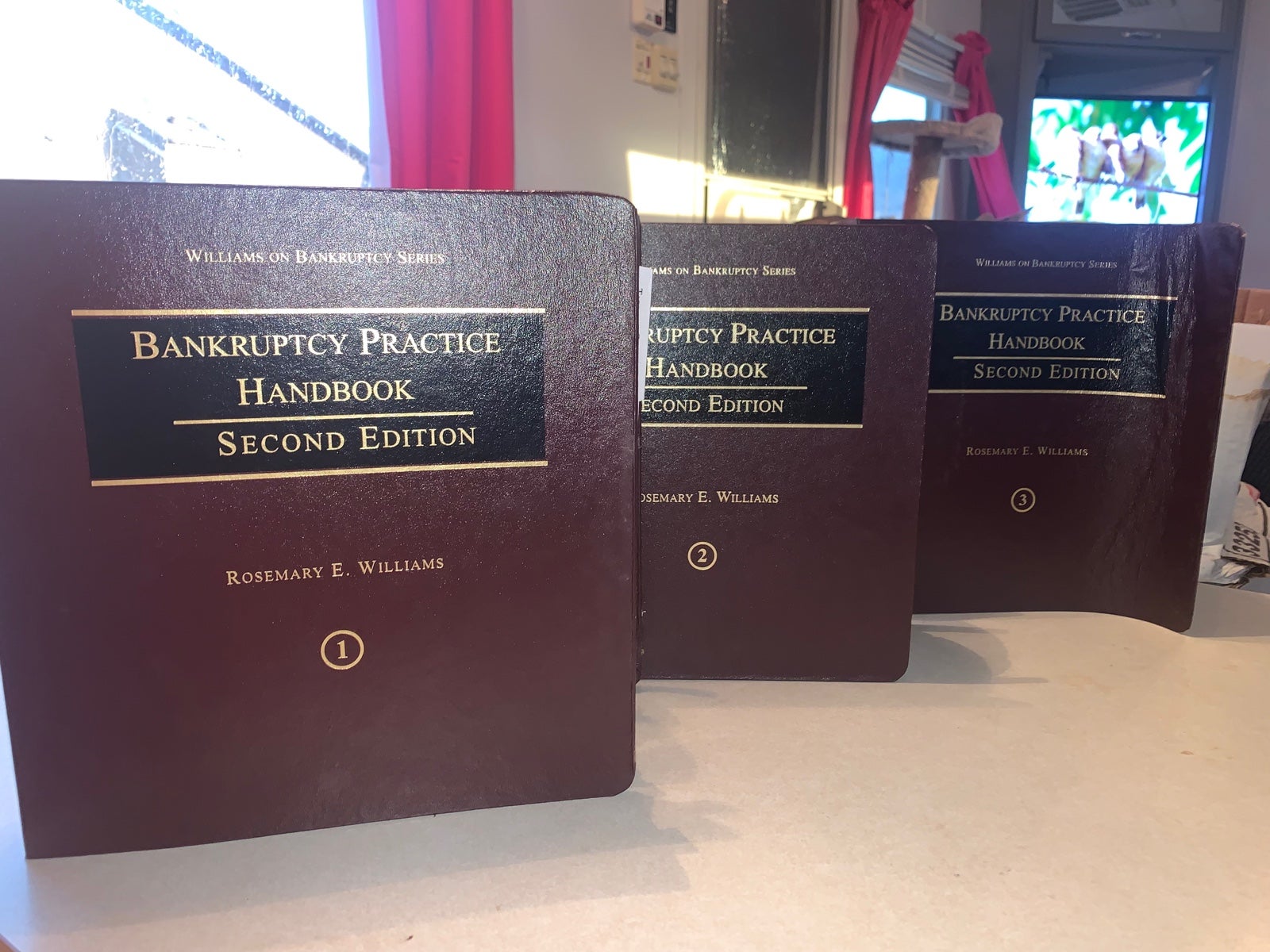 Williams on Bankruptcy Series Bankruptcy Practice Handbook Second Edition
