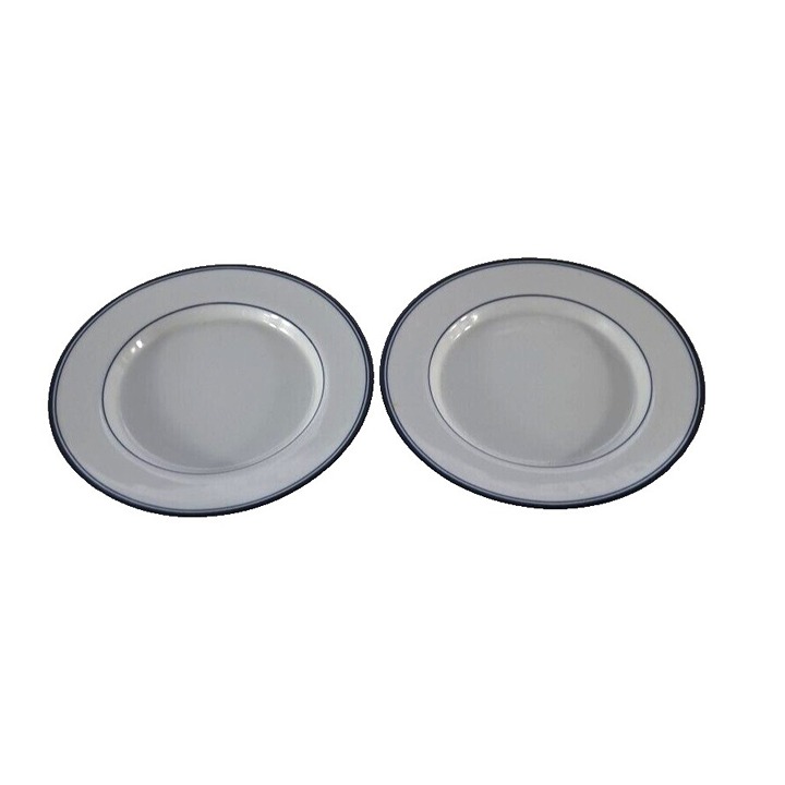 Dansk Concerto Salad Small Plates Set Of 2 Allegro Blue Stripe Sri Lanka 9