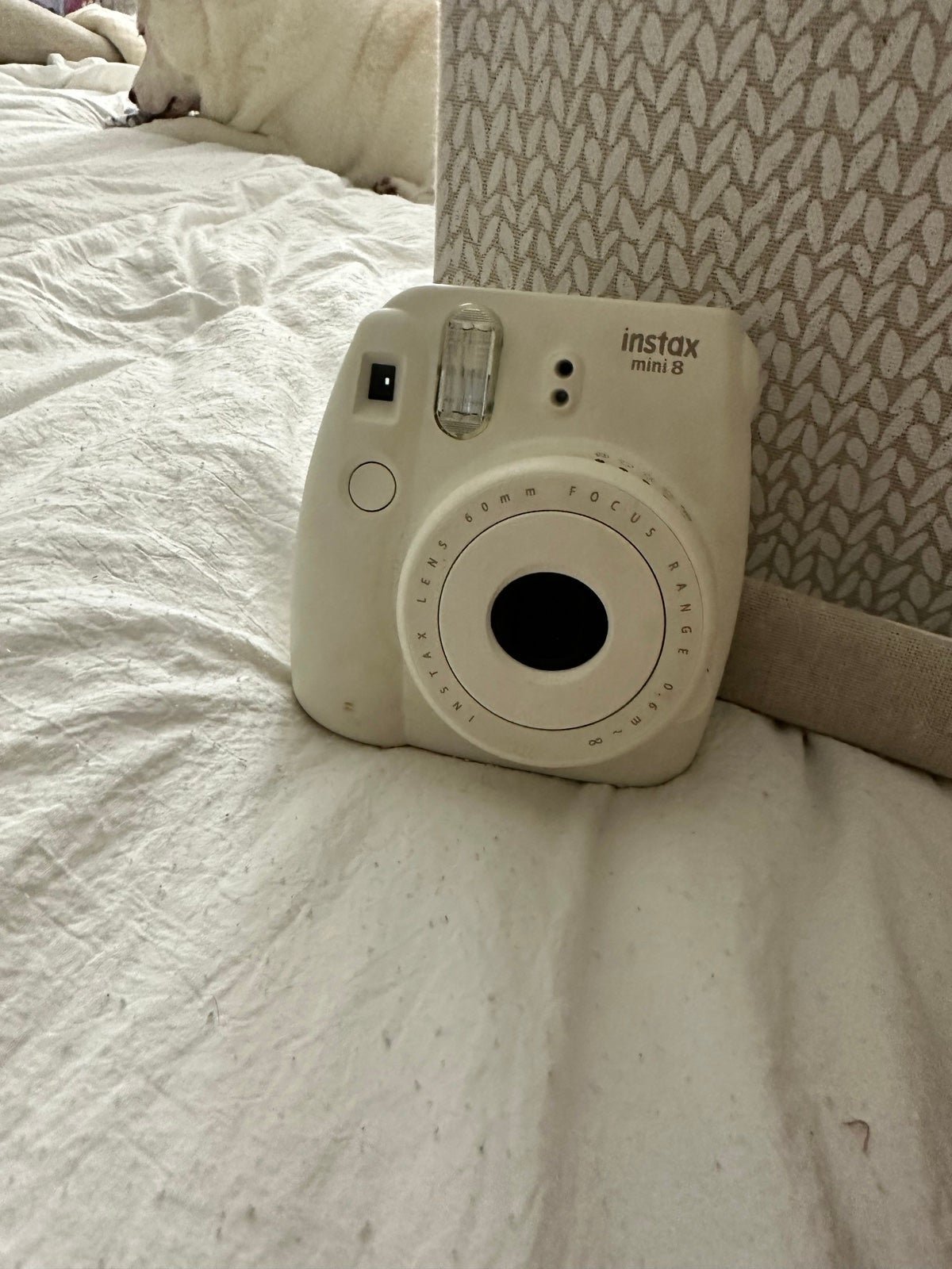 Instax mini 8
