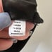 NWT CARBON38 Oversized Button Up Shirt Size Small Black Cotton Casual