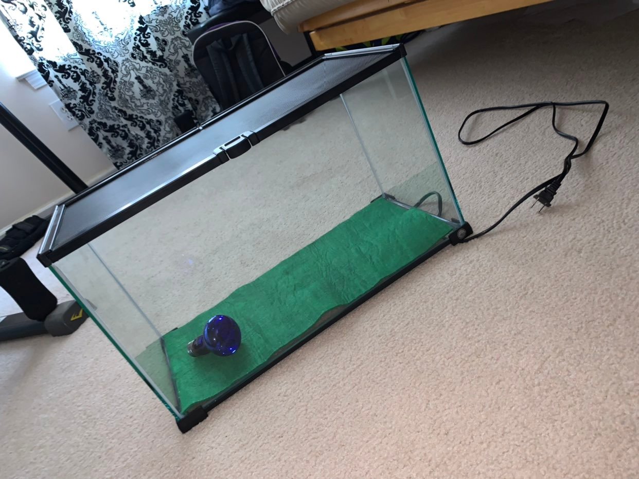 10 gallon reptile tank