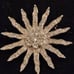 Vintage Starburst Rhinestone Brooch