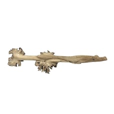 Vintage Hand Carved Natural Burl Wood Knot Solid Wood Alligator Crocodile 13,5”