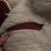 Princess mononoke vest hot topic