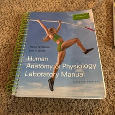 Human Anatomy & Physiology Laboratory Manual Eleven Edition GOOD