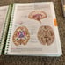 Human Anatomy & Physiology Laboratory Manual Eleven Edition GOOD