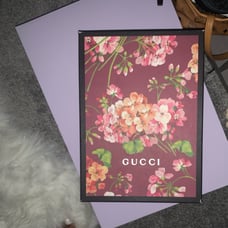 Gucci empty box