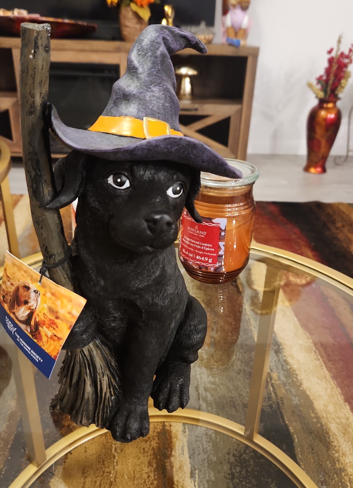 Halloween Humane Society Dog