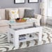 FDW Lift Top Coffee Table with Hidden Compartment and Storage Shelf Wooden LiftD