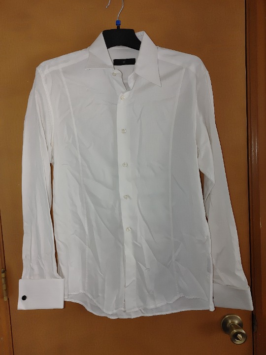 ZEGNA Men's Long Sleeves Button-up Strait Hem Dress Shirt Size L Pre-owned