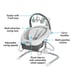 Graco Swing with Portable Bouncer