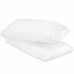 SensorPEDIC Dobby 2pk Stripe Soft LOFT F