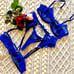 Sexy Indigo Lingerie Set