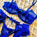 Sexy Indigo Lingerie Set