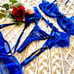 Sexy Indigo Lingerie Set