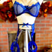 Sexy Indigo Lingerie Set