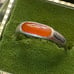 Vintage Native Sterling Genuine Spiny Oyster Ring 8