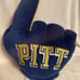 PITT PANTHERS hand