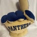 PITT PANTHERS hand