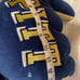 PITT PANTHERS hand