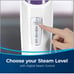 Bissell Steam Mop