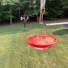 Hummingbird Feeder for Outdoors, 2 Pack, Leak-Proof, 16 Ounce/Pack