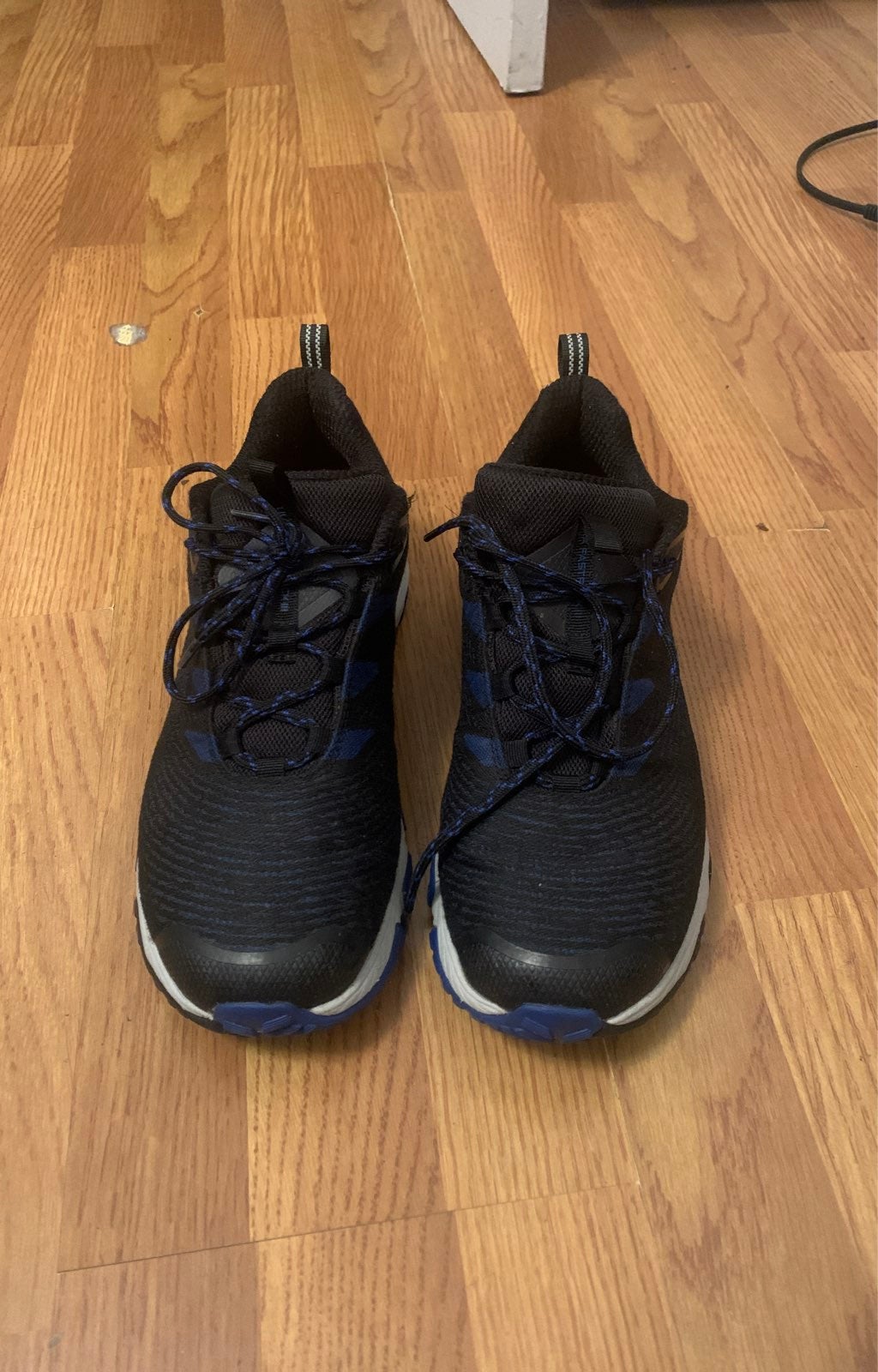 Northface sneakers