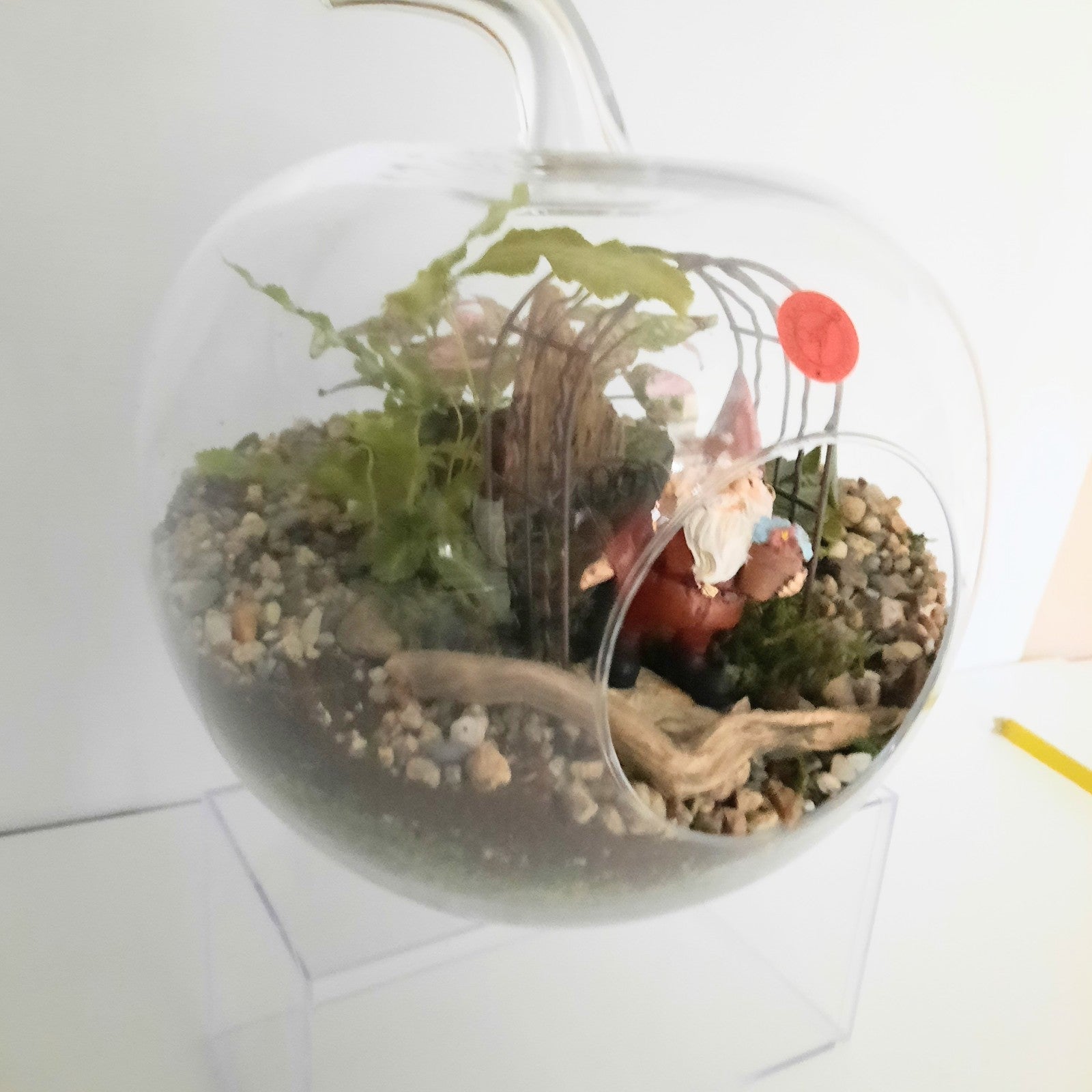 Garden Indoor Container