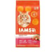 Qty 2 Iams Proactive Health Minichunks Dry cat Food